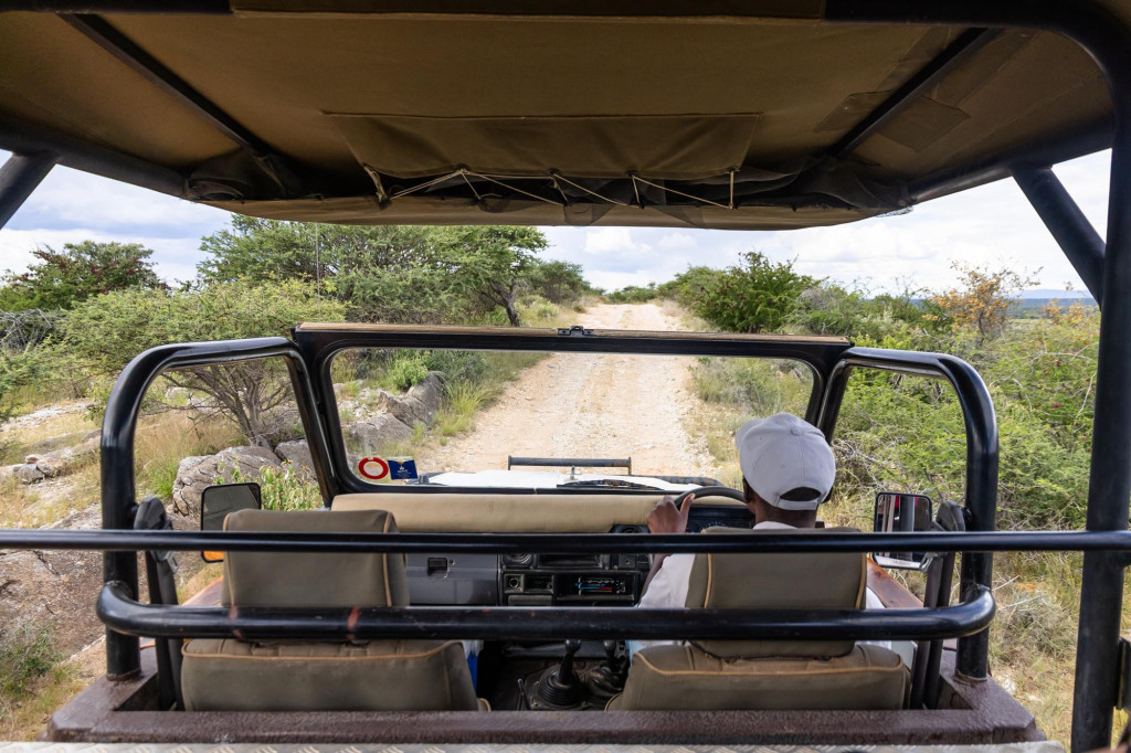 Morning Game Drive