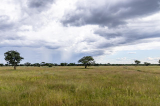Guided Walks