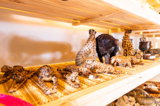 Curio Shop