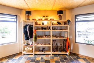 Curio Shop