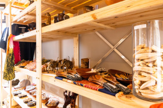 Curio Shop