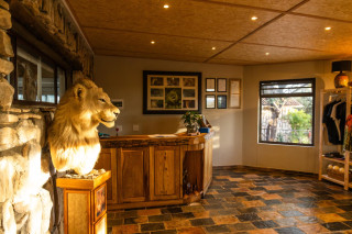 Curio Shop