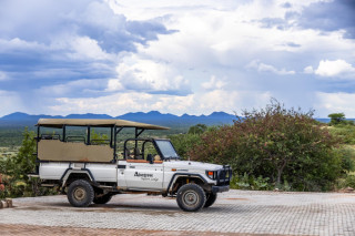 Morning Game Drive